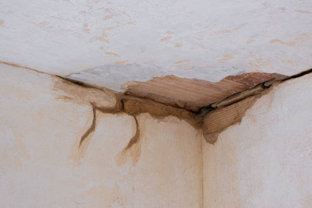 Best Professional water damage repair  in Arden Arde, CA