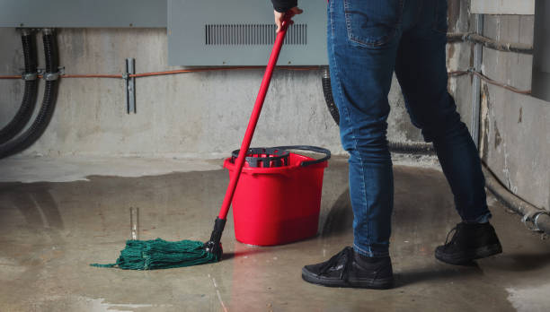 Best Sewage cleanup and water damage restoration  in Arden Arde, CA