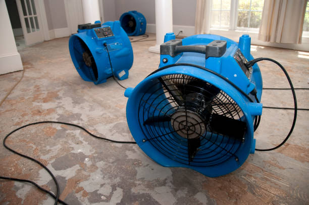 Best Mold removal after water damage  in Arden Arde, CA