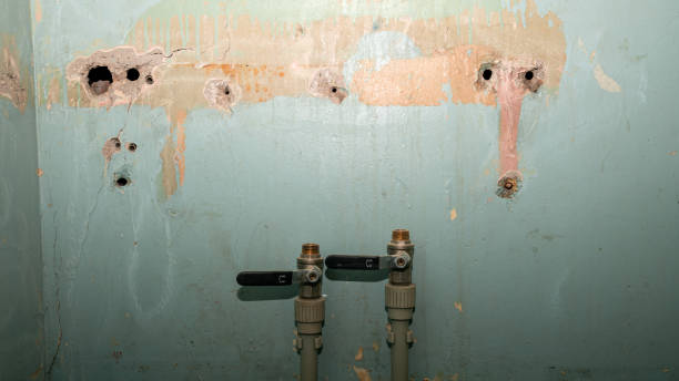 Best Water damage restoration near me  in Arden Arde, CA